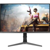 Игровой монитор NPC MZ2707 — Chaika Market
