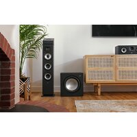 Проводной сабвуфер Polk Audio Monitor XT12 - Изображение №8 — Chaika Market