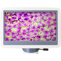 Микроскоп Levenhuk D85L LCD 78902 - Изображение №6 — Chaika Market