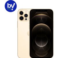 Смартфон Apple iPhone 12 Pro 256GB Восстановленный by Breezy, грейд A (золотистый) - Изображение №2 — Chaika Market
