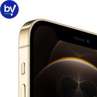 Смартфон Apple iPhone 12 Pro 256GB Восстановленный by Breezy, грейд A (золотистый) - Изображение №3 — Chaika Market