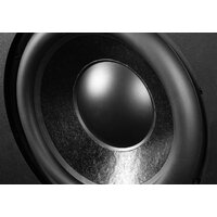 Проводной сабвуфер Emotiva Airmotiv SE12 - Изображение №3 — Chaika Market