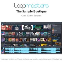 Аудиоинтерфейс Audient iD4 - Изображение №16 — Chaika Market