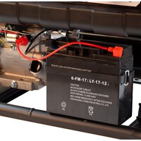 Бензиновый генератор Denzel PS-25 - Изображение №14 — Chaika Market