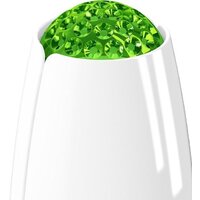 Очиститель воздуха Airfree Tulip 40 - Изображение №2 — Chaika Market