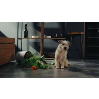 Пылесос Hisense HFC743169BKA - Изображение №16 — Chaika Market