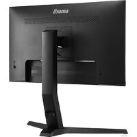 Монитор iiyama ProLite XUB2496HSU-B1 - Изображение №9 — Chaika Market