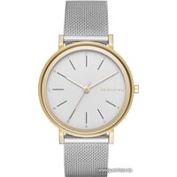 Наручные часы Skagen SKW2508 — Chaika Market
