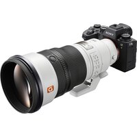 Объектив Sony FE 300mm F2.8 GM OSS - Изображение №16 — Chaika Market