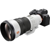 Объектив Sony FE 300mm F2.8 GM OSS - Изображение №14 — Chaika Market