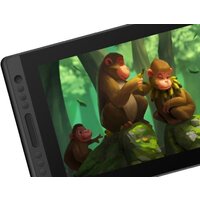 Графический монитор Huion Kamvas Pro 16 - Изображение №3 — Chaika Market