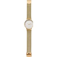 Наручные часы Skagen SKW2519 - Изображение №4 — Chaika Market