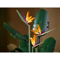 Конструктор LEGO Creator Expert 10289 Райская птица - Изображение №22 — Chaika Market