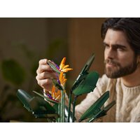 Конструктор LEGO Creator Expert 10289 Райская птица - Изображение №27 — Chaika Market