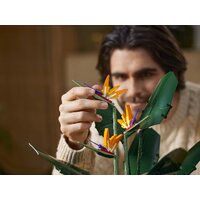 Конструктор LEGO Creator Expert 10289 Райская птица - Изображение №26 — Chaika Market