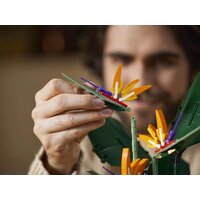 Конструктор LEGO Creator Expert 10289 Райская птица - Изображение №25 — Chaika Market