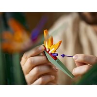 Конструктор LEGO Creator Expert 10289 Райская птица - Изображение №23 — Chaika Market