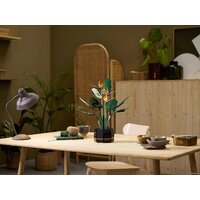 Конструктор LEGO Creator Expert 10289 Райская птица - Изображение №10 — Chaika Market