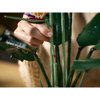 Конструктор LEGO Creator Expert 10289 Райская птица - Изображение №24 — Chaika Market