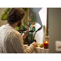 Конструктор LEGO Creator Expert 10289 Райская птица - Изображение №16 — Chaika Market