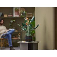 Конструктор LEGO Creator Expert 10289 Райская птица - Изображение №13 — Chaika Market