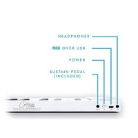 Цифровое пианино Carry-on Folding Piano 49 - Изображение №12 — Chaika Market