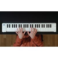 Цифровое пианино Carry-on Folding Piano 49 - Изображение №4 — Chaika Market