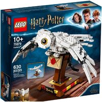 Конструктор LEGO Harry Potter 75979 Букля — Chaika Market