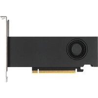 Видеокарта PNY RTX 2000 Ada Generation 16GB GDDR6 VCNRTX2000ADA-SB — Chaika Market