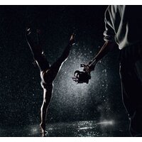 Стабилизатор Zhiyun Weebill 3S - Изображение №20 — Chaika Market