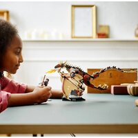 Конструктор LEGO Harry Potter 76406 Венгерская хвосторога - Изображение №8 — Chaika Market