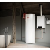 Отопительный котел Thermex Sirius PM35 - Изображение №4 — Chaika Market