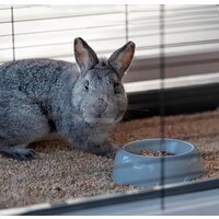 Клетка Ferplast Cottage Large 57094200 - Изображение №6 — Chaika Market