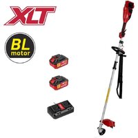 Триммер Wortex TB 3036-1 ALL1 XLT Set 1334872 (с 2-мя АКБ) — Chaika Market