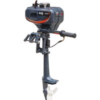 Лодочный мотор ECO M350 TS — Chaika Market