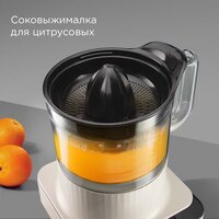 Кухонный комбайн Redmond (Редмонд) FP608 (бежевый) - Изображение №3 — Chaika Market