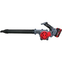 Ручная воздуходувка Profipower DWDUB-20V (с 1-им АКБ) — Chaika Market