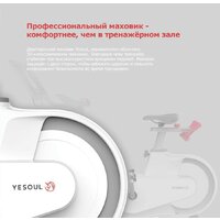 Велотренажер Yesoul BV1-B Plus BV1-W-21.5 - Изображение №5 — Chaika Market