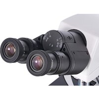 Микроскоп Levenhuk MED 40B бинокулярный 74004 - Изображение №7 — Chaika Market