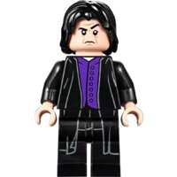 Конструктор LEGO Harry Potter 75953 Гремучая ива - Изображение №10 — Chaika Market