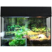 Террариум Lucky Reptile Стартовый комплект для амфибий SK80BP-B (черный) — Chaika Market