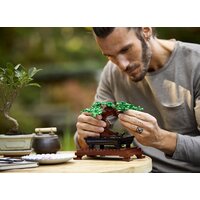 Конструктор LEGO Creator 10281 Бонсай - Изображение №19 — Chaika Market