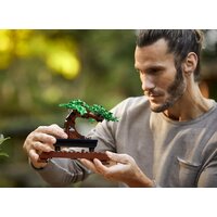 Конструктор LEGO Creator 10281 Бонсай - Изображение №18 — Chaika Market