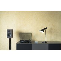 Виниловый проигрыватель Pro-Ject Primary E (черный) - Изображение №2 — Chaika Market