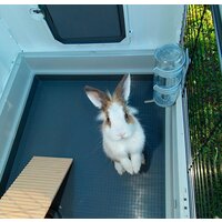 Клетка Ferplast Grand Lodge Plus 120 57087800 - Изображение №3 — Chaika Market