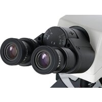 Микроскоп Levenhuk MED 45B бинокулярный 74008 - Изображение №7 — Chaika Market