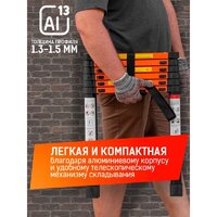 Лестница ISMA UP200-2 - Изображение №6 — Chaika Market