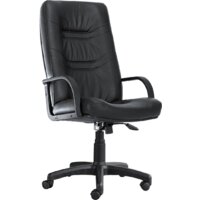 Офисное кресло Белс Министр PLN SP 400149-01/SPA (натуральная кожа, черный) — Chaika Market