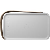 Беспроводная колонка Bang & Olufsen Beolit 20 (серый) - Изображение №6 — Chaika Market