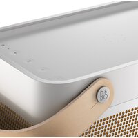 Беспроводная колонка Bang & Olufsen Beolit 20 (серый) - Изображение №10 — Chaika Market